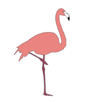 Flamingo Outline - Flamingo Coloring Page - Flamingo Drawing png