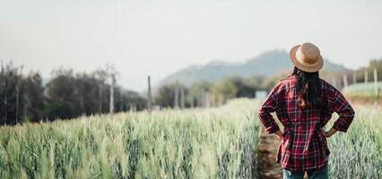 Back view of a farmer with hands on hips, wearing a straw hat and a checkered shirt, surveying a vast field of crops against a backdrop of rolling hills. photo