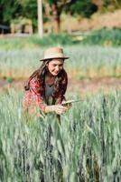 enfocado hembra granjero en un Paja sombrero y rojo tartán camisa inspecciona joven cultivos en el campo mientras utilizando un tableta para agrícola gestión. foto