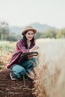 hembra granjero en un Paja sombrero es examinando y tomando notas en el trigo crecimiento en un campo durante temprano verano. foto