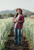 Happy female farmer with a notebook stands amidst tall wheat, wearing a straw hat and red plaid shirt in the field. photo