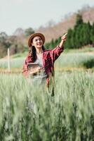 sonriente con confianza, un hembra granjero usos un tableta mientras señalando a un Mancha en su próspero trigo campo, integrando moderno tecnología con tradicional agricultura. foto
