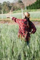 Farmer wearing a straw hat and red plaid shirt points out into the distance, monitoring the progress of crops in a green field. photo