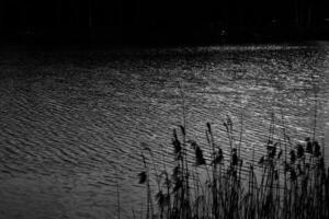 Monochrome Shot of Vast Water Body photo