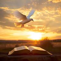 Flying dove above an opened book. The Holy spirit appears over the Bible photo