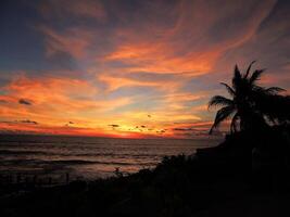 a sunset over the ocean with palm trees photo