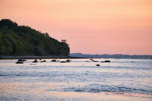 Sunset, illuminated sea. Sandy beach in the foreground. Light waves. Baltic Sea photo