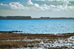 ligero nubes en el cielo en el envalentonado en zingst en el báltico mar península. envalentonado paisaje con prados naturaleza reserva en el costa. paisaje fotografía foto