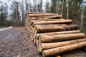 Stacked tree trunks by the side of the road in the forest. Tree material photo