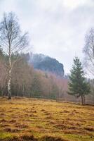 Elbe Sandstone Mountains. Meadow in front of forest and rocks. Fog rises from the forest photo