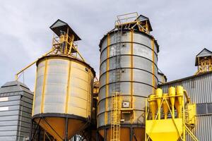 silos en agroindustrial complejo con semilla limpieza y el secado línea para grano almacenamiento foto