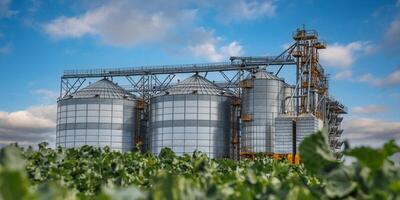 silos en agroindustrial complejo con semilla limpieza y el secado línea para grano almacenamiento foto