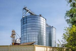 silos granero ascensor en agroindustrial complejo con semilla limpieza y el secado línea para grano almacenamiento foto