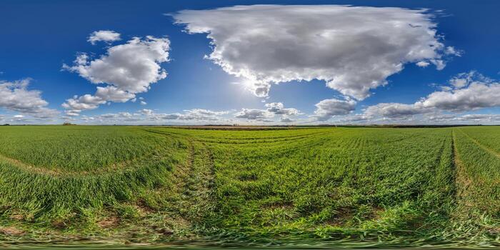 spherical 360 hdri panorama among green grass farming field with cirrus clouds on blue sky in equirectangular seamless projection, use as sky dome replacement, game development as skybox or VR content photo