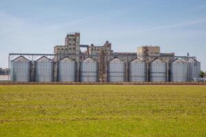 silos granary elevator on agro-industrial complex with seed cleaning and drying line for grain storage photo