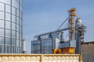 silos granero ascensor en agroindustrial complejo con semilla limpieza y el secado línea para grano almacenamiento foto