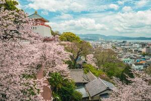 kimiidera templo, un budista templo en wakayama ciudad, kansái, Japón foto