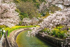 Yamashina Canal, a part of the Lake Biwa Canal in Yamashina District, Shiga, Japan photo