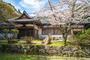 Onjoji temple, or Miidera, with cherry blossom at Mount Hiei in Otsu city in Shiga, Japan photo