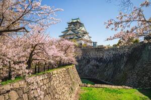 nishinomaru jardín de el Osaka castillo a Osaka ciudad en Japón foto