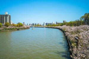 Kema Sakuranomiya Park, a park near by Ogawa River in osaka and famous for cherry blossom in japan photo