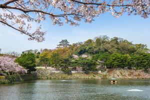 Wakayama Castle, a Japanese castle located in Wakayama city, Wakayama Prefecture, Japan. photo