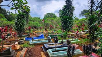 un cementerio con vistoso flores y plantas foto