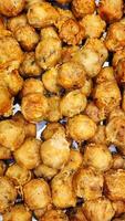 fried food is shown in a metal tray photo