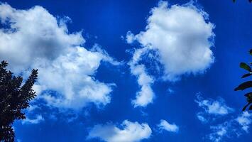 un azul cielo con nubes y arboles foto