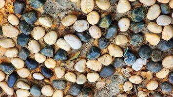 a close up of a bunch of pebbles photo