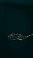 Black caviar. A spoon with black caviar on a black background. Vertical orientation video