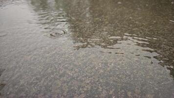 Raindrops falling on a wet asphalt surface, creating ripples and splashes, close-up, slow motion, daylight video