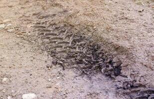 Wheel track on mud. Traces of a tractor or heavy off-road car on brown mud in wet meadow photo