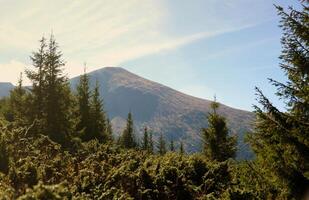 Mount Hoverla hanging peak of the Ukrainian Carpathians against the background of the sky photo