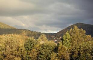 Countryside in mountains at sunrise. Grassy rural slopes with fields and trees in fall foliage in autumn photo