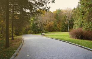 hermosa naturaleza otoño paisaje. paisaje ver en otoño ciudad parque con dorado amarillo follaje en nublado día foto