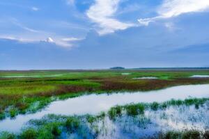Wetlands of southern Thailand. photo