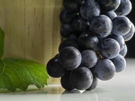 Close up Black grape with light and space. photo