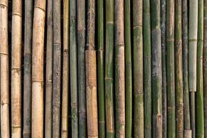 Close up bamboo floating photo