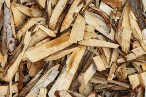 Wood chips for charcoal photo