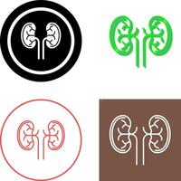 Kidney Icon Design vector