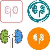 Kidney Icon Design vector