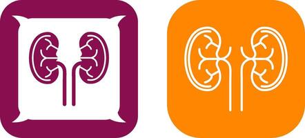 Kidney Icon Design vector