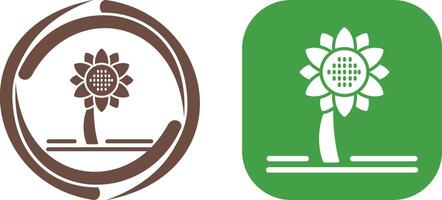 Sunflower Icon Design vector