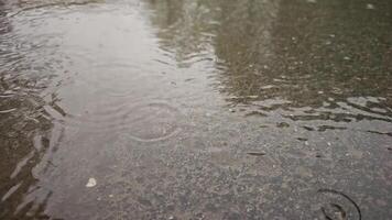 Raindrops falling on a wet asphalt surface, creating ripples and splashes, close-up, slow motion, daylight video