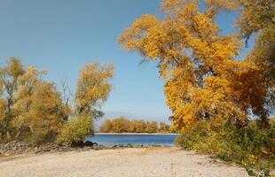 Beautiful autumn landscape with lake and multicoloral trees. Picturesque place with lake and tall trees photo