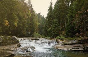 A bright blue river flowing through forest as the sun begins to set in a hidden park along the scenic drive in Hoverla mountains area photo