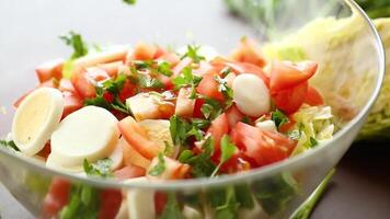 frisch Gemüse Salat, Kohl, Tomaten im ein Schüssel auf ein hölzern Tabelle video