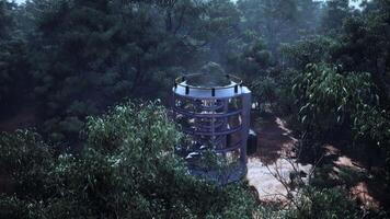 un' futuristico bicchiere serra annidato nel il cuore di un' lussureggiante foresta video
