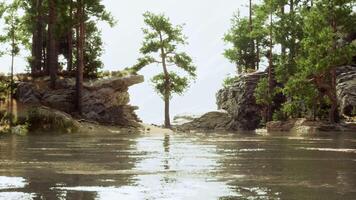 A body of water surrounded by trees and rocks video